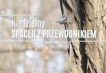 Niedzielny spacer z przewodnikiem