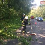 Drzewo spadło na drogę – FOTO