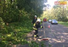 Drzewo spadło na drogę – FOTO