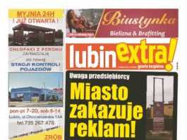 thumbnail of 166 internet DLU