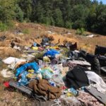 Monitoring na wjeździe do lasu? To może być rozwiązanie