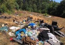 Monitoring na wjeździe do lasu? To może być rozwiązanie