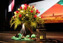 Akademia, Lis Major i skok przez skórę (FOTO)