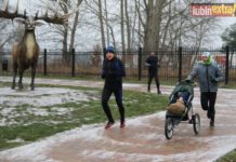 Było ślisko na 181 biegu parkrun – FOTO