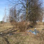 Partia Razem wnioskuje o przystąpienie miasta Lubina do programu OSA