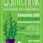 Wymiennik: dzień wymiany roślin doniczkowych – zapowiedź