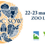 Noc Sów w Lubinie po raz czwarty – zapowiedź