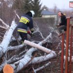Spadająca brzoza uszkodziła słup energetyczny – FOTO