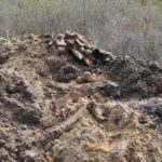 Broń i szkielety na Klasztornym