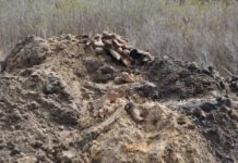 Broń i szkielety na Klasztornym