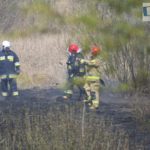 Pożar na Zalewie Małomickim