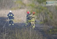 Pożar na Zalewie Małomickim