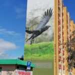 Murale na blokach SM Nowa na Przylesiu – dzieła sztuki – FOTO