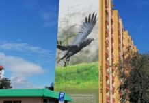 Murale na blokach SM Nowa na Przylesiu – dzieła sztuki – FOTO