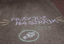 Młodzieżowy Strajk Klimatyczny Lubinie. Dołącz w piątek w południe