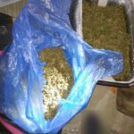 Blisko 900 porcji marihuany nie trafi na rynek – zatrzymany 46 – latek