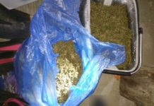 Blisko 900 porcji marihuany nie trafi na rynek – zatrzymany 46 – latek