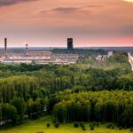 3 hektary lasu rocznie oszczędzi KGHM dzięki digitalizacji dokumentów