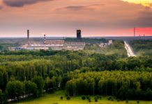 3 hektary lasu rocznie oszczędzi KGHM dzięki digitalizacji dokumentów