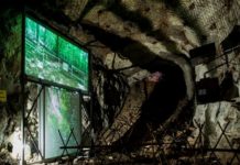 Lubińska firma znowu wśród 10. najlepszych nominowana do nagrody