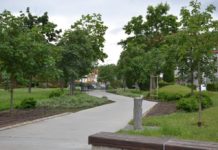 Polkowice enklawą zieleni