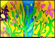 Nagroda dla Studio Kredka