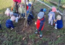 Mali ogrodnicy z Rudnej