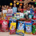 Dzieci zebrały karmę dla bezdomnych zwierząt