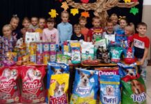 Dzieci zebrały karmę dla bezdomnych zwierząt