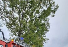 Nietypowa akcja strażaków w Krzeczynie Wielkim