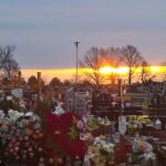 Zarząd Powiatu kupił chryzantemy. Są bezpłatne dla mieszkańców