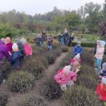 Dzieci poznają uroki jesieni