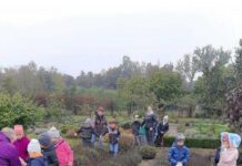 Dzieci poznają uroki jesieni