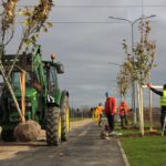 Polkowice biją rekord