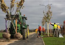 Polkowice biją rekord