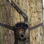 Sukces straży miejskiej w Polkowicach