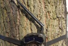 Sukces straży miejskiej w Polkowicach