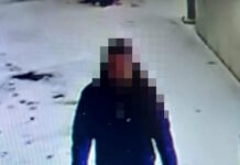 Kamery nagrały jak niszczył radiowozy, a pies spisał się doskonale