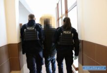 Kobietę podtapiali w wannie, a psa podgrzewali w mikrofalówce…