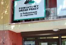 Urząd Pracy wspiera pracodawców