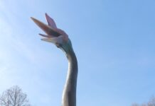 Na szlaku zwierząt wymarłych w Parku jest nowy okaz – pterozaur