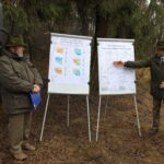 Kilkaset drzew do wycięcia