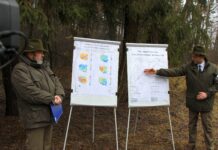 Kilkaset drzew do wycięcia