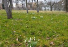 Pokoje Gościnne „W sadzie”