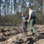 Nadleśnictwo Lubin odnawia las na Przylesiu – FOTO