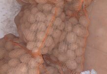 PAX rozda darmowe ziemniaki