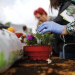 Dwa dni kwiatowego raju – Festiwal Kwiatów