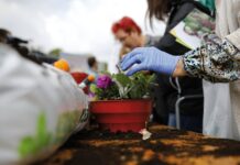 Dwa dni kwiatowego raju – Festiwal Kwiatów