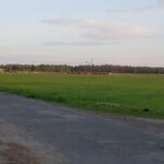 Drogi i kanalizacja dla nowego osiedla do czerwca 2022