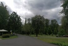 Urodziny CEP i Dzień Dziecka, czyli wiele atrakcji dla dzieci